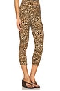 view 2 of 6 Carmen Capri Pant in Leopard
