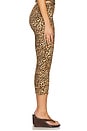 view 3 of 6 Carmen Capri Pant in Leopard