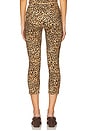 view 4 of 6 Carmen Capri Pant in Leopard