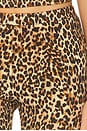 view 6 of 6 Carmen Capri Pant in Leopard