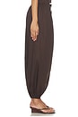 view 3 of 6 PANTALON OFELIA in Chocolate Brown