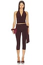view 5 of 6 PANTALON CARMELA in Chocolate Brown