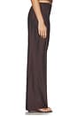 view 4 of 6 Josette Pant in Brown