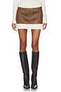 view 1 of 6 Luanne Mini Skirt in Walnut