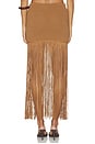 view 4 of 6 Chrissa Fringe Skirt in Brown