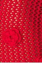 view 5 of 5 Domitilla Crochet Mini Skirt in Red