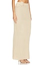 view 2 of 6 Josephine Maxi Skirt in Tan & Gold