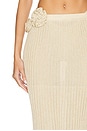 view 6 of 6 Josephine Maxi Skirt in Tan & Gold