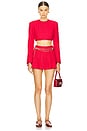 view 4 of 5 Alina Mini Skirt in Rose Red