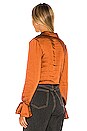 view 3 of 4 Aerin Blouse in Rust