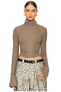 Belen Top in Dark Taupe