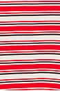 view 5 of 5 Liana Tee in Red Multi Stripe
