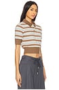 view 2 of 4 Maisy Polo Top in Blue & Brown Stripe