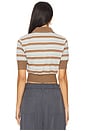 view 3 of 4 Maisy Polo Top in Blue & Brown Stripe