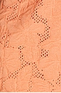 view 5 of 5 Shalie Top in Coral