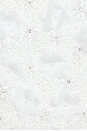 view 5 of 5 Zelma Top in White