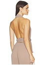 view 3 of 4 Delilah Top in Light Brown
