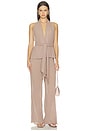 view 4 of 4 Delilah Top in Light Brown
