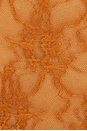 view 7 of 6 Cas Bodysuit in Caramel