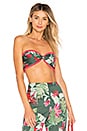 view 1 of 5 Abby Bralette in Hot Tropics