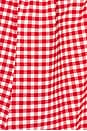 view 5 of 5 Check Me Out Top in Red Gingham