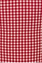 view 5 of 5 Ruby One Piece in Red Gingham