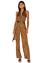 view 1 of 3 Gianna Jumpsuit in Austin Print