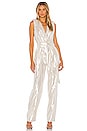 view 1 of 4 Tatiana Jumpsuit in Platinum