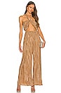 view 1 of 3 Baina Jumpsuit in Brown