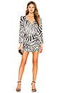 view 1 of 3 Italina Dress in Zebra