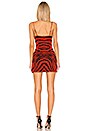view 3 of 3 Marzia Dress in Zebra