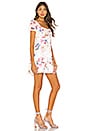 view 2 of 3 Florentina Dress in Forou Floral