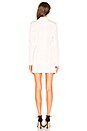 view 3 of 3 Caterina Dress in Ivory