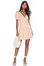 view 1 of 5 Natalie Dress in Blush Nude
