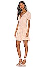 view 3 of 5 Natalie Dress in Blush Nude