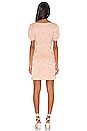 view 4 of 5 Natalie Dress in Blush Nude