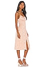 view 2 of 5 Pasquelina Dress in Blush Nude