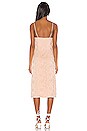 view 4 of 5 Pasquelina Dress in Blush Nude