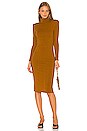 view 2 of 3 Jovi Dress in Rust