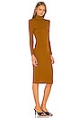 view 3 of 3 Jovi Dress in Rust