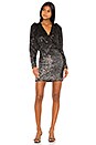 view 1 of 4 Constance Dress in Black & Silver