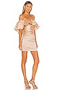 view 2 of 3 Jaden Dress in Nude
