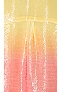 view 4 of 4 Jacinda Dress in Sunset
