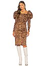 view 1 of 4 Abana Dress in Lucianna Print