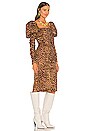 view 2 of 4 Abana Dress in Lucianna Print