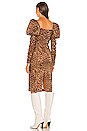 view 3 of 4 Abana Dress in Lucianna Print