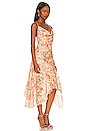 view 2 of 3 Alice Maxi Dress in Gaia Floral