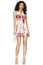 view 1 of 3 Concetta Halter Mini Dress in Red & Cream Floral