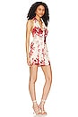 view 2 of 3 Concetta Halter Mini Dress in Red & Cream Floral