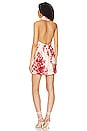 view 3 of 3 Concetta Halter Mini Dress in Red & Cream Floral